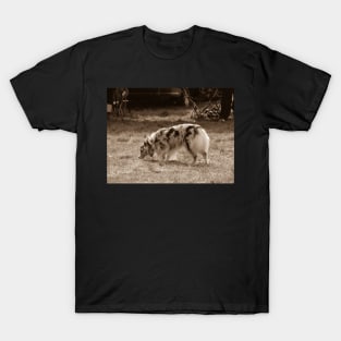 Dog show T-Shirt